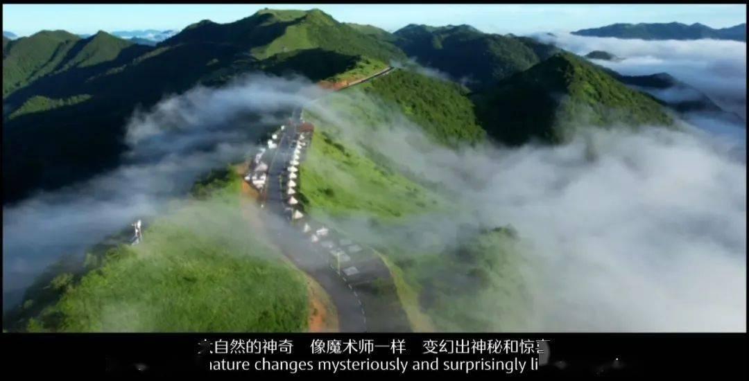 <激光近视手术哪种好?问答网-解答您的疑问>